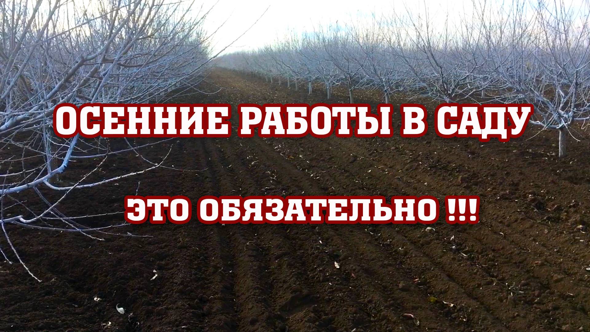 ОПАСНОСТЬ В САДУ!!! смотреть онлайн