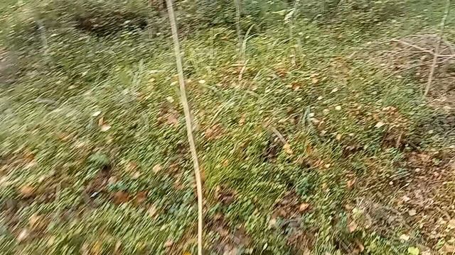 Почему упали 