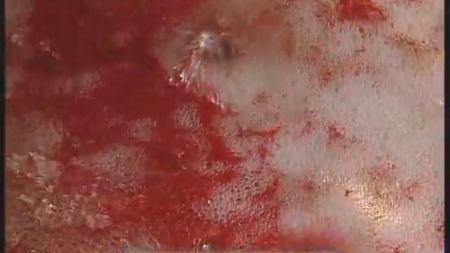 Галилео. Рахат-лукум