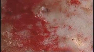 Галилео. Рахат-лукум