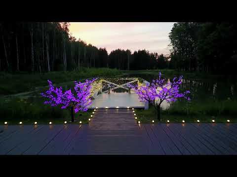 Летнее украшение загородных домов NEON NIGHT