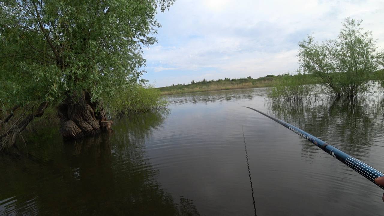 ВСЯ РЫБА СТОИТ ПОД БЕРЕГОМ ! Рыбалка на поплавок смотреть онлайн
