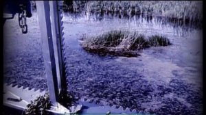 Галилео. Очистка водоема