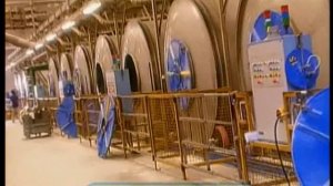 Галилео. Мех ✂ Fur