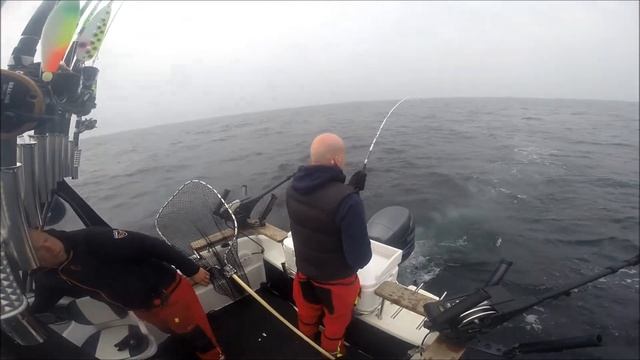 Team BOWI / John Pedersen med laks 14,94 kg TMB2015 смотреть онлайн