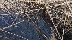 Водоворот в реке