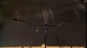 Галилео  Как бильярдный стол определяет цвет шаров?