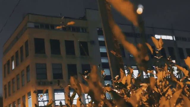 VID 20231108 184524 Приглашение (Эзра Паунд)...Павел Васильев Лахтинский смотреть онлайн