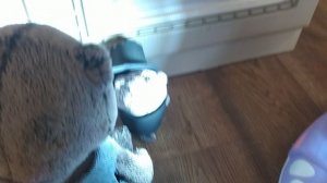 басик полицейский 👮🏻👍🏻😻😼😸😹