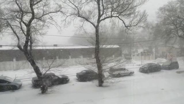 *И Пришел к Нам Циклон из Японии* смотреть онлайн