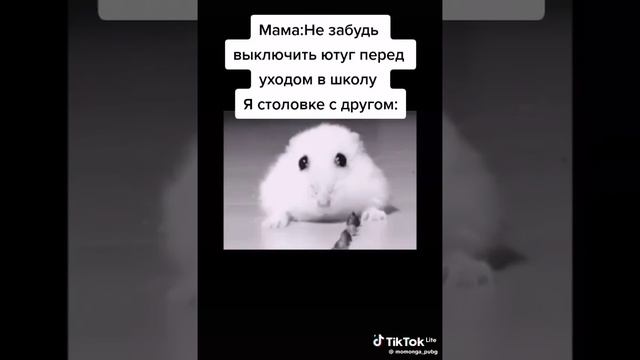 вы все тооооп