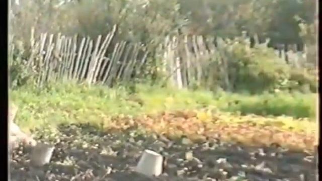 Урожай 2000 смотреть онлайн