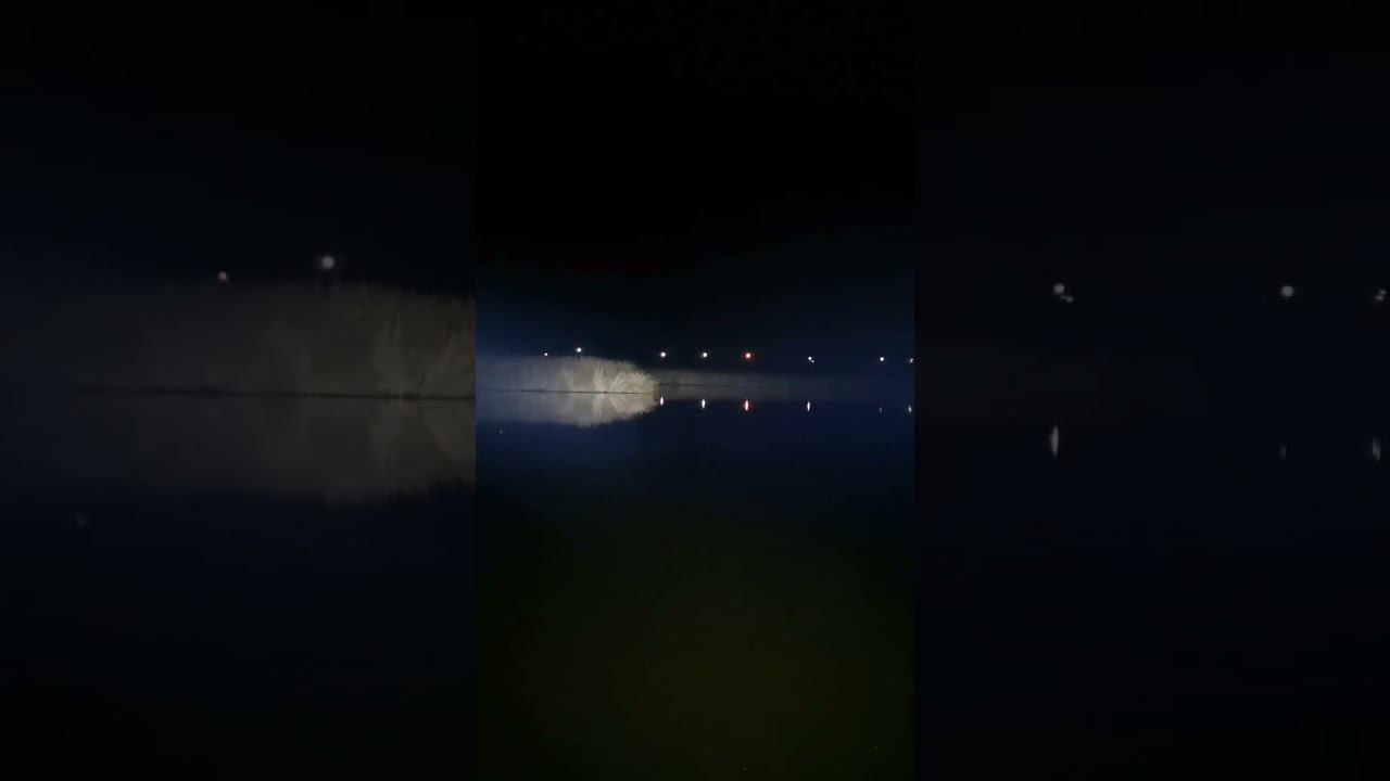 Два подствольника. Nitecore MH27 (слева) & Armytek Predator Pro (справа). смотреть онлайн