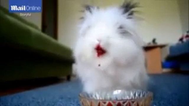 Bunny Simmons смотреть онлайн