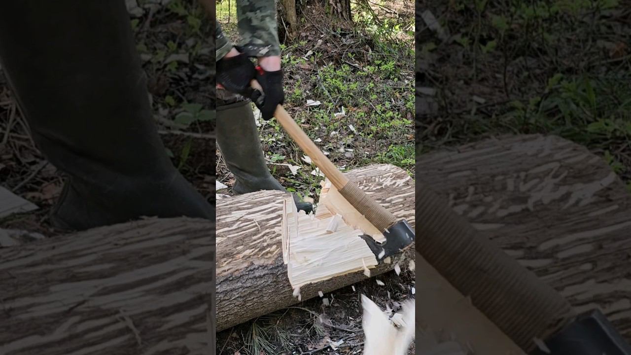 Скопа с "линзой" на осине. смотреть онлайн