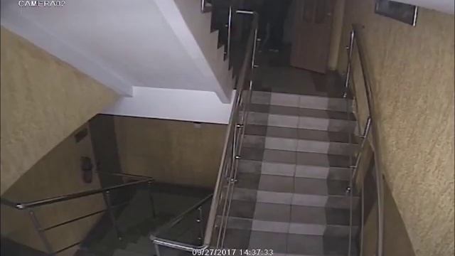 Поимка воров в гостинице Золотой лев г. Омск, 27.09.2017 смотреть онлайн