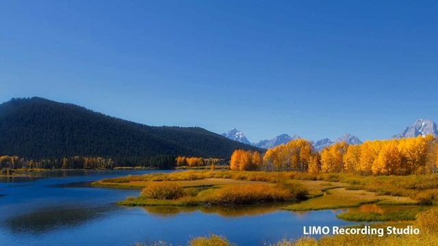 Doug Maxwell - Cast Of Pods (2018)