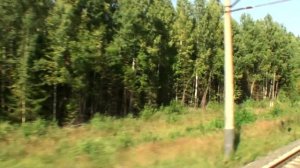 Вид из окна поезда Нижний Новгород -Шахунья