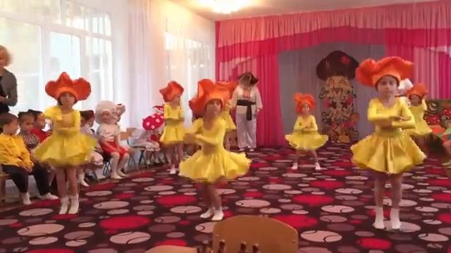 Quvnoq Qo'ziqorinlar