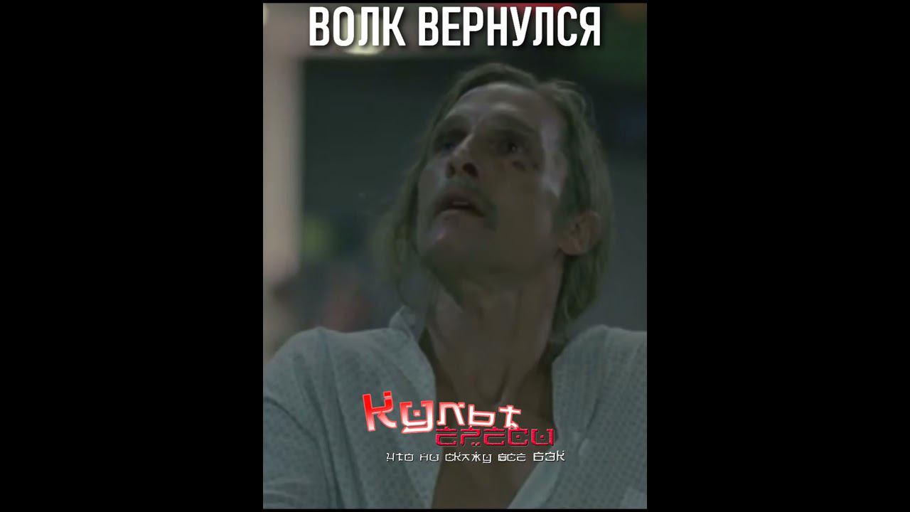 ВОЛК ВЕРНУЛСЯ #shorts смотреть онлайн