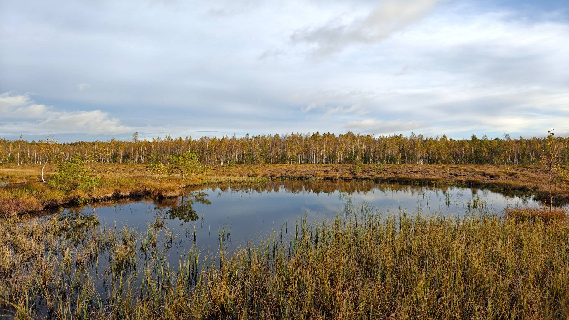 2024-09-28_Нурма-13км