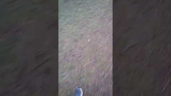 Наш Челлендж