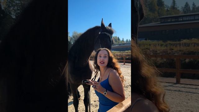 Как мы снимали видео с лошадьми? Забавные моменты смотреть онлайн