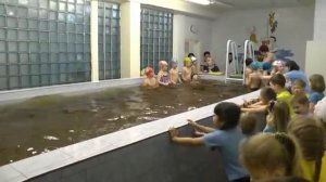 Пчелки vs Любознайки.  Бассейн садик Крепыш