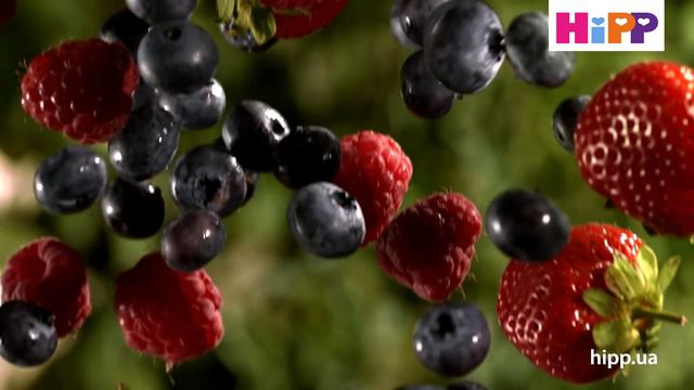 Паучі HiPPiS: найкращі органічні фрукти 🍏🍌🍓🍑 для унікального смаку HiPP 😋 смотреть онлайн