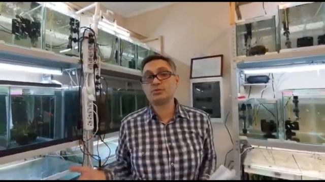 Добро пожаловать на канал Московские гуппи смотреть онлайн