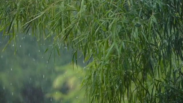 Relaxing Piano Music With The Sound Of Water💧 Peaceful Space For Meditation@SoothingRelaxation