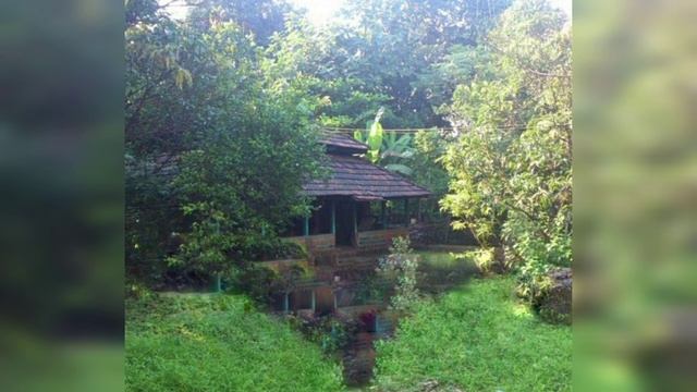 Ghaal Ghaal Pinga Varya/Suman Kalyanpur/Cover by Sneha Parab Rane смотреть онлайн