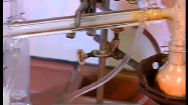 Галилео. Шашлык  Shashlik