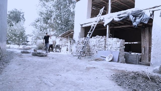 Qaynota Kuyovdan Ibratli Video