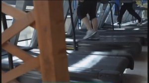 Галилео. Жир в организме