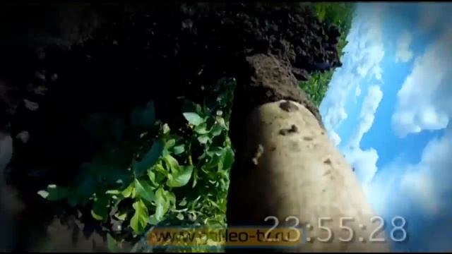 Галилео. Урожай картошки