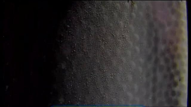 Галилео. Пенопласт Foam polystyrene смотреть онлайн