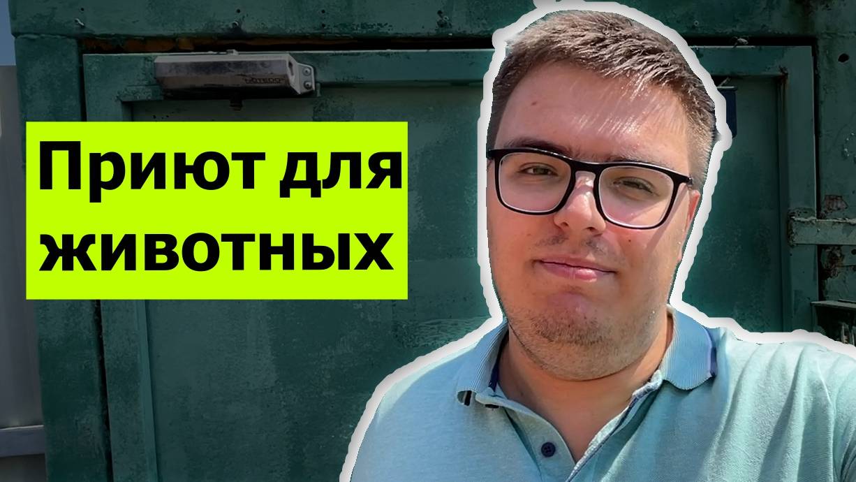 Зачем мы отправились в приют для животных? // Будем ли заводить новую собаку? // Что с марафоном?