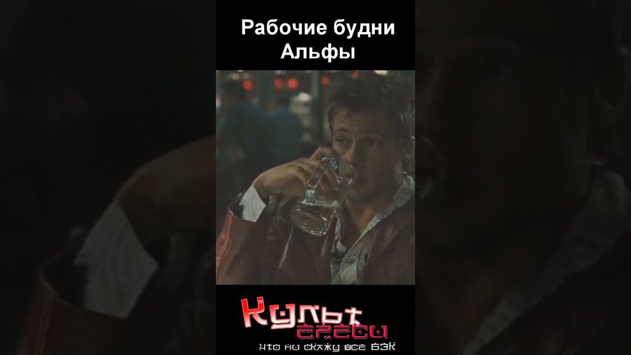 Рабочие будни Альфачей #shorts смотреть онлайн