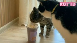 вырызный фрагмент а ну ка давайка