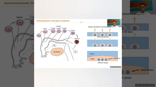 Школа успешного ЭКО "УГМК-Здоровье". Эмбриологический этап смотреть онлайн