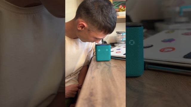 новое обновление-яндекс Алисы эмоции.