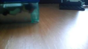 Мультфильм лего бэтмен фильм 2