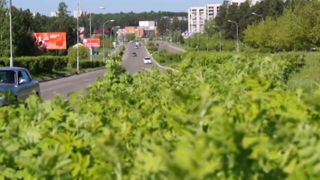 День за днём от 11 августа 2016г.