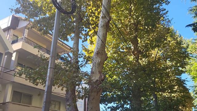 Обзор ул Б Хмельницкого и Калинина обстановка на море ШТОРМ! смотреть онлайн