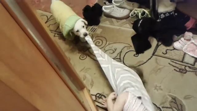 Раздеваемся вместе😆 смотреть онлайн