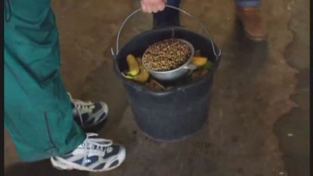 Галилео. Зоопарк (часть 2) смотреть онлайн