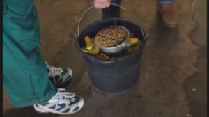 Галилео. Зоопарк (часть 2)