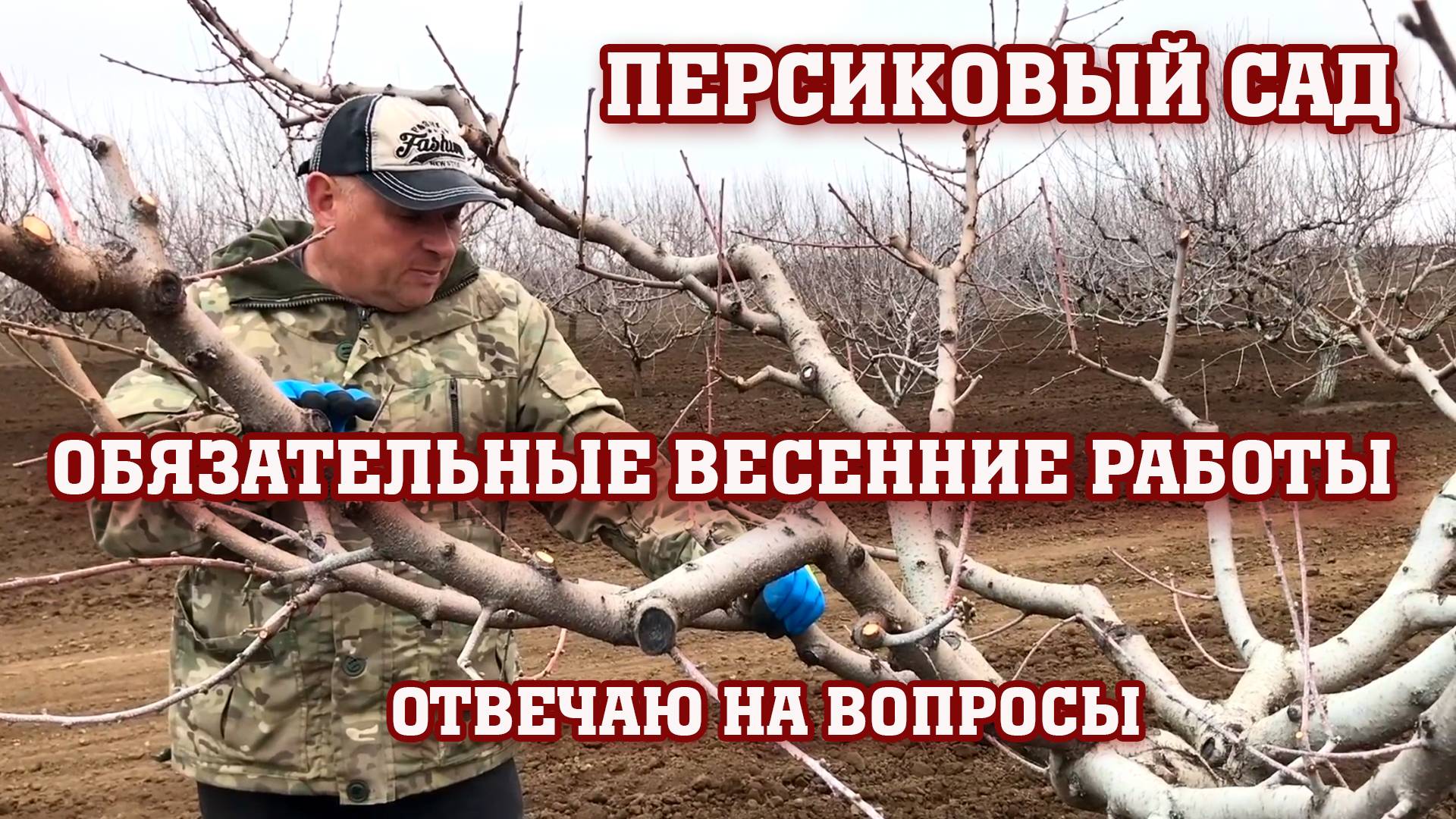 Обязательные весенние работы в персиковом саду !!! смотреть онлайн
