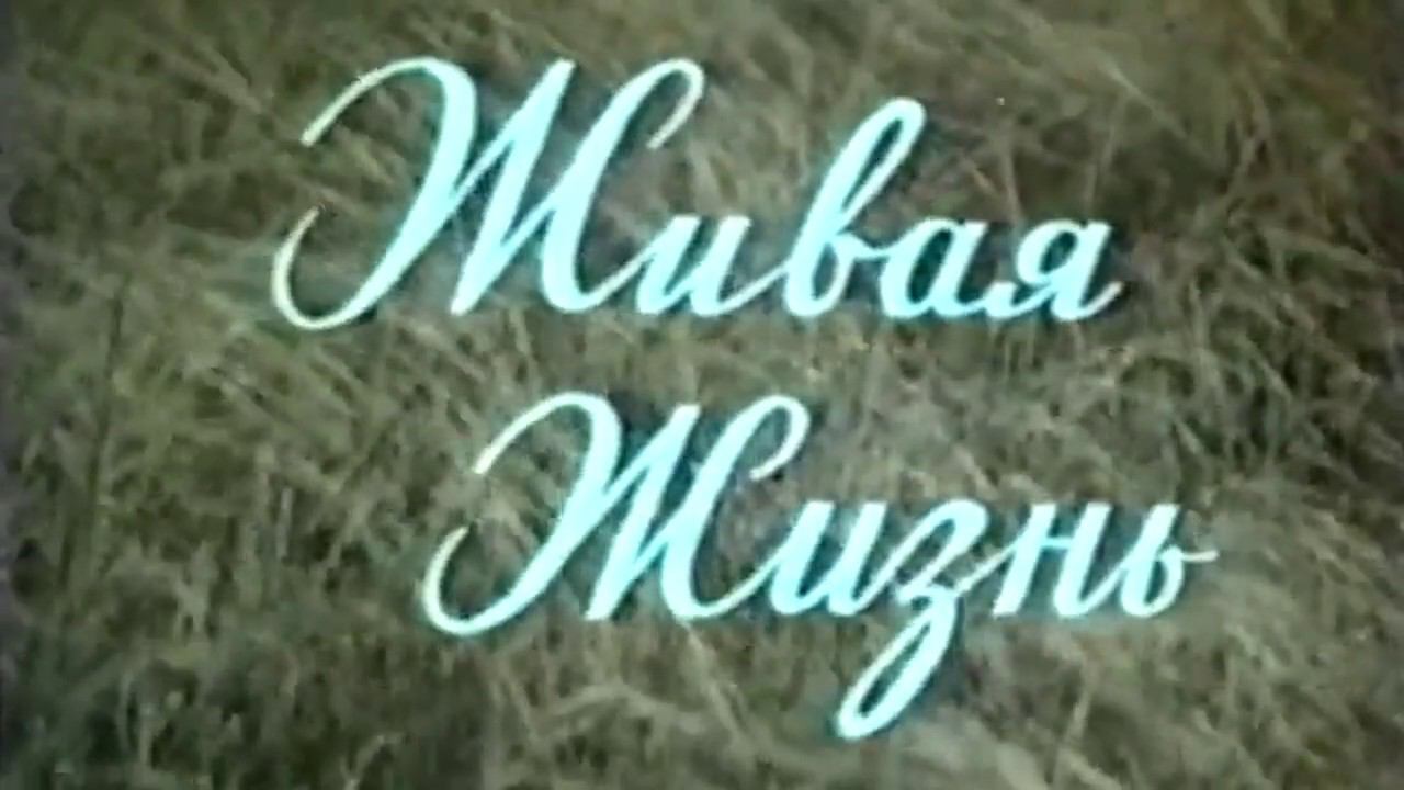 Живая жизнь (д-ф, 1993). Порфирий Иванов смотреть онлайн